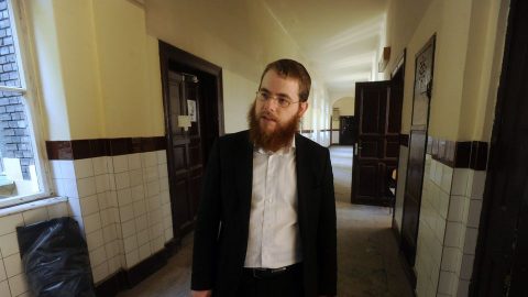 koves-slomo(1)(960x640).jpg (Array)