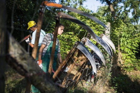 kozmunka(960x640).jpg (Array)