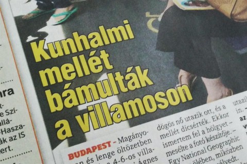 kunhalmiblikk(960x640).jpg (Array)