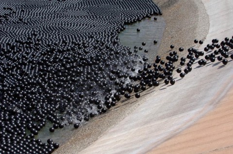 labdák a víztározóban (Array)