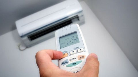 legkondi(1)(210x140).jpg (Array)