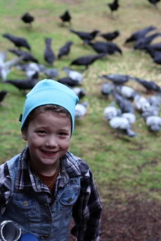 madarakat etető kislány (Array)