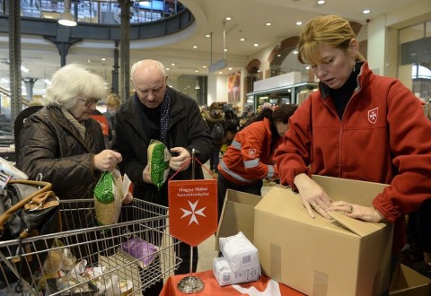 maltai(210x140).jpg (Array)