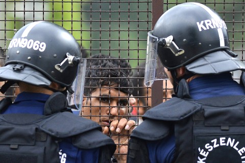 menekült, Debrecen (Array)