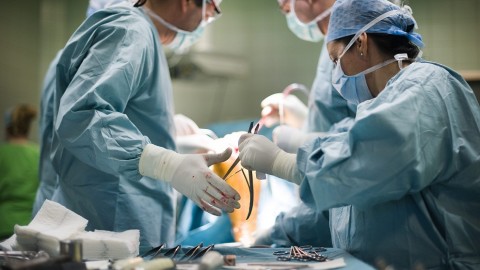 mutet(210x140).jpg (Array)