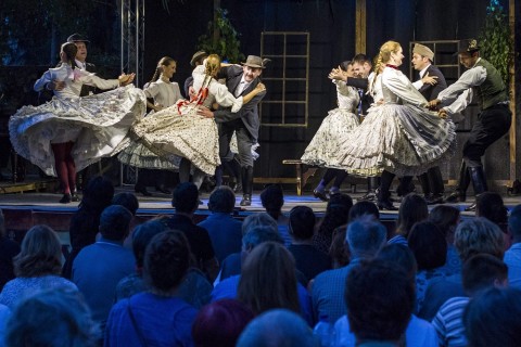 művészetek völgye (Array)