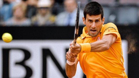 novak djokovic (Array)