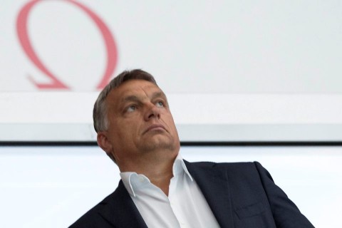 orbán viktor (Array)