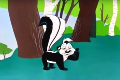 pepe-le-pew(960x640).jpg (Array)