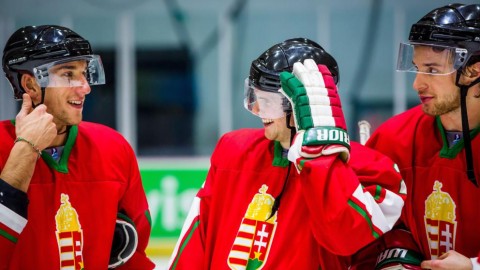 sofron istván (Array)