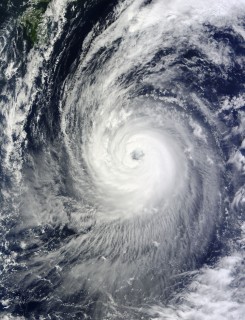 tajfun(210x140).jpg (Array)