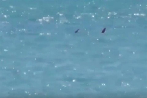 tonhal(960x640).jpg (Array)