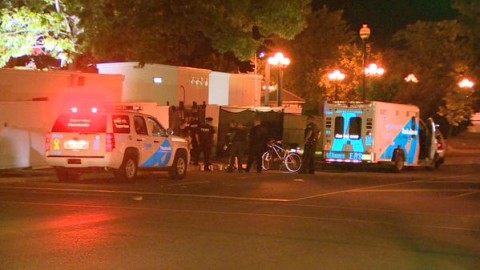 torontói lövöldözés (Array)