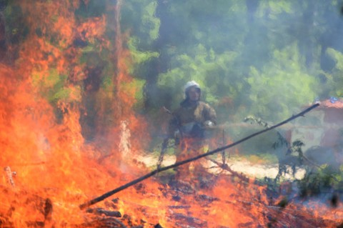 tuzolto(960x640).jpg (Array)