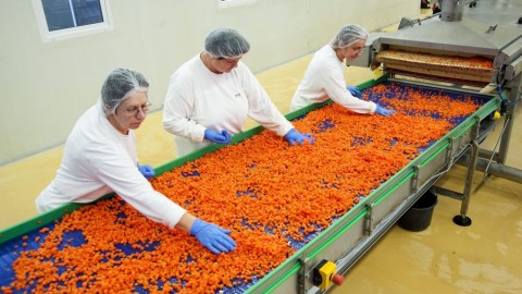 vallalkozas(210x140).jpg (Array)