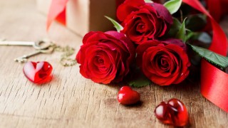 rózsa szerelem