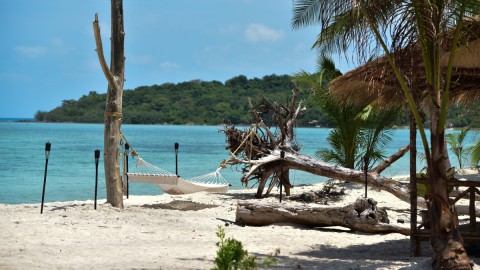 Ádám keresi Évát. Fotó: VIASAT3/Szőke Richard