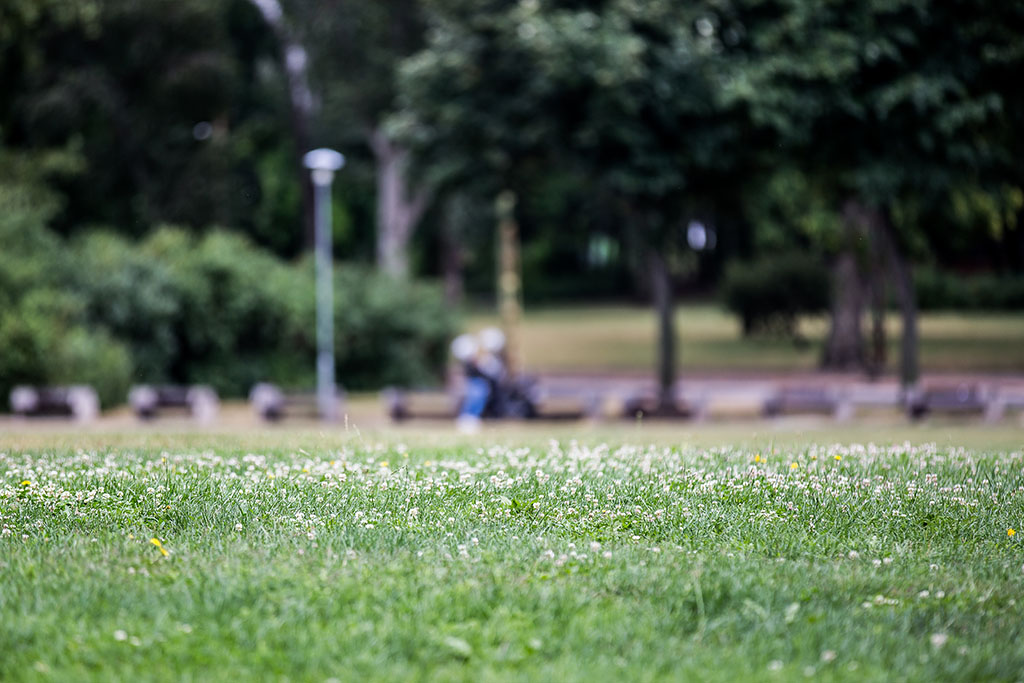 Ítéletidő: a monokinis lányokat elmosta a Duna 2 Budapest tél 01 1