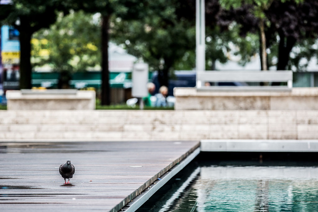 Ítéletidő: a monokinis lányokat elmosta a Duna 4 Budapest tél 01 1