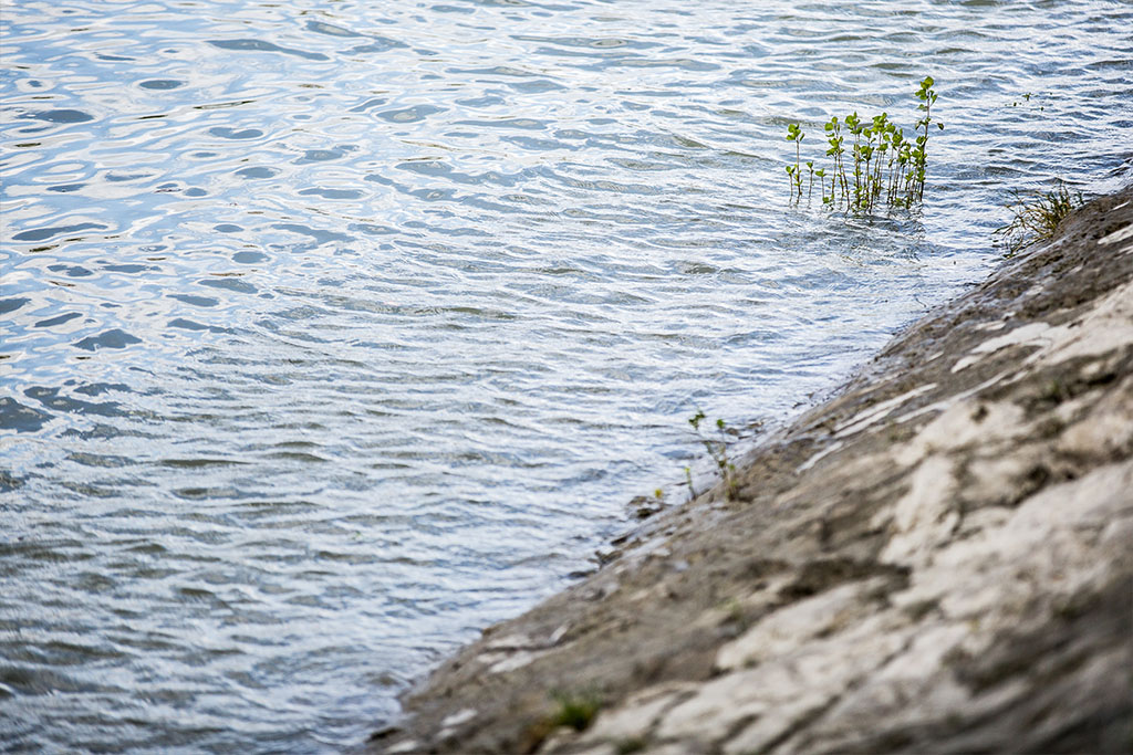 Ítéletidő: a monokinis lányokat elmosta a Duna 6 Budapest tél 01 1