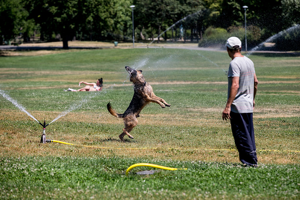 Ítéletidő: a monokinis lányokat elmosta a Duna 11 Budapest tél 01 1