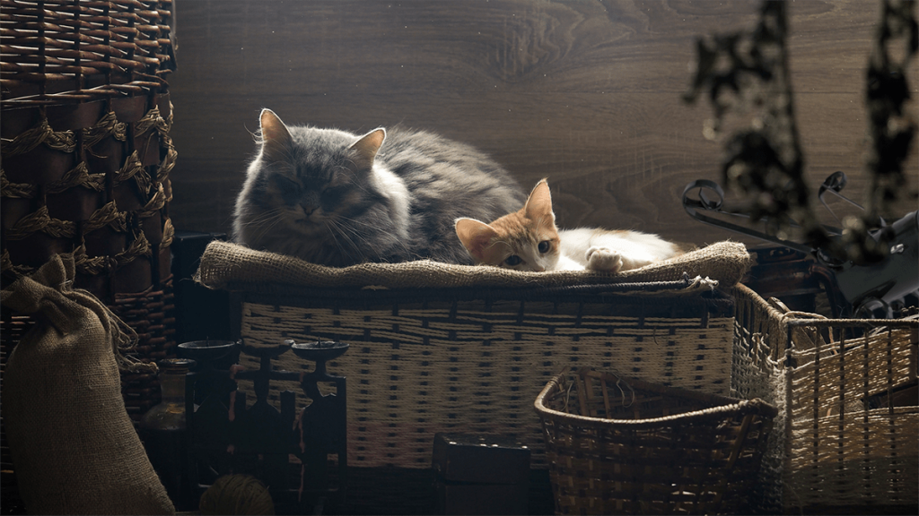 Itt a nagy karácsonyfatalp-kereső! 4 8-c