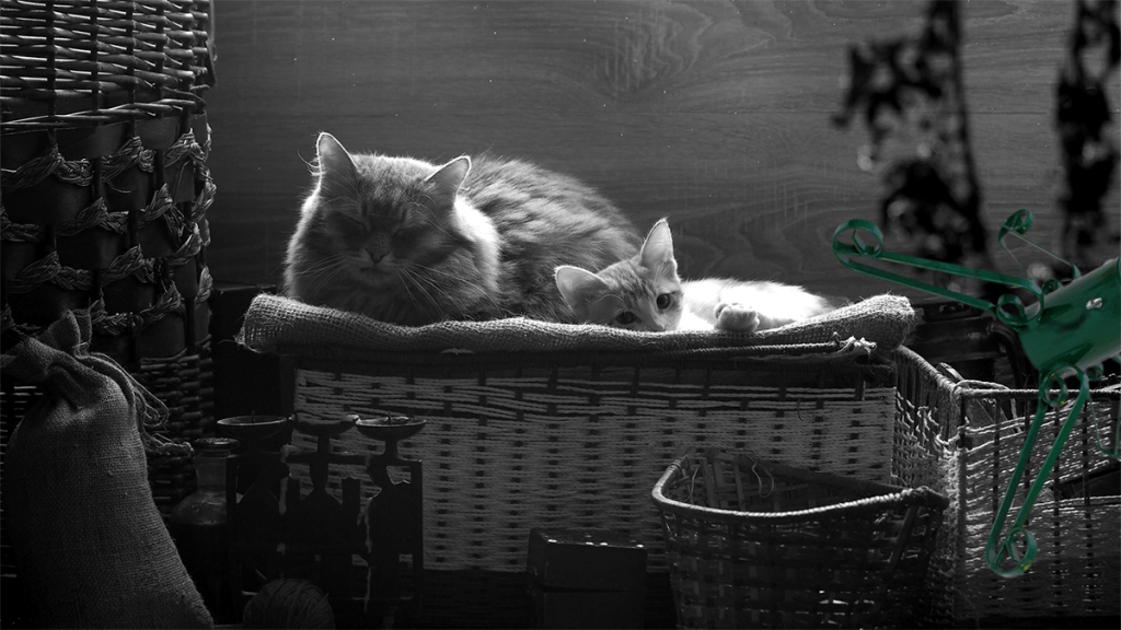 Itt a nagy karácsonyfatalp-kereső! 3 8_ff-c