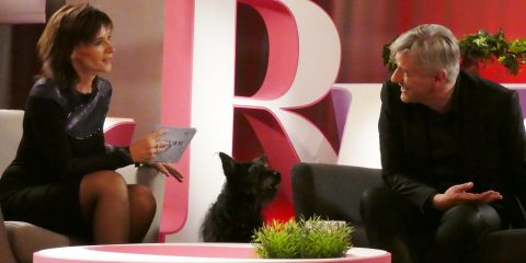 Krizsó Szilvia és Alföldi Róbert