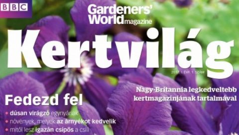 BBC Kertvilág