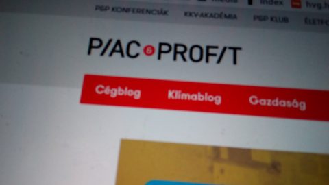 Piac és Profit