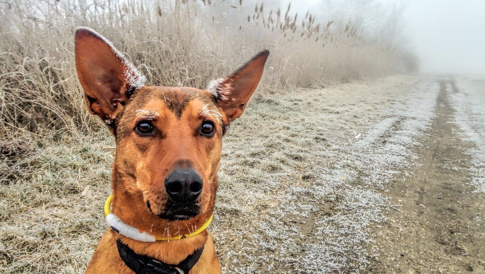 Fotó: Sopronyi Gyula/24.hu