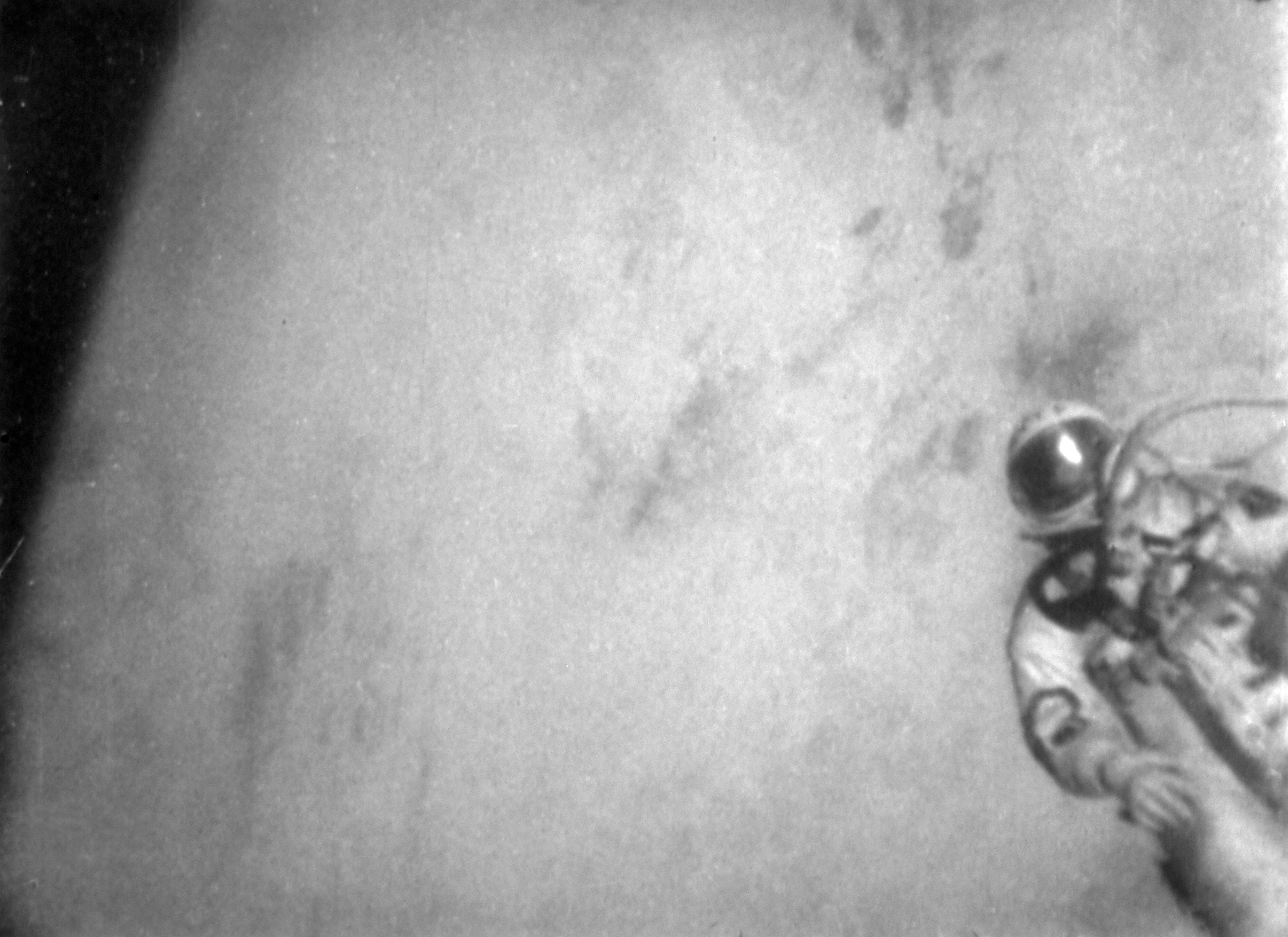 Первый выход на орбиту. Полет Леонова в космос в 1965. Леонов космонавт Восход 2. Выход в открытый космос Леонова 1965.