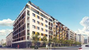 cordia 1