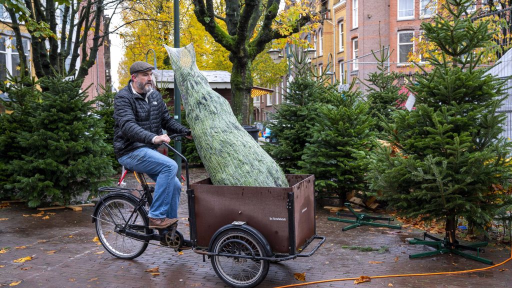 Annyit drágul a karácsonyfa, hogy inkább már máshogy mérik, elrejtve az áremelkedést