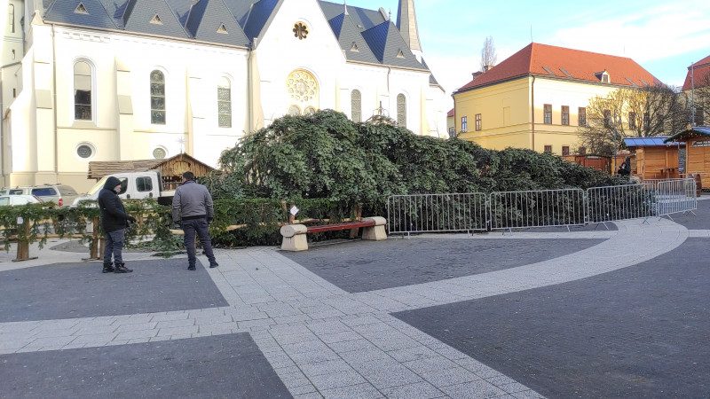 Három városban is kidőlt a közös karácsonyfa