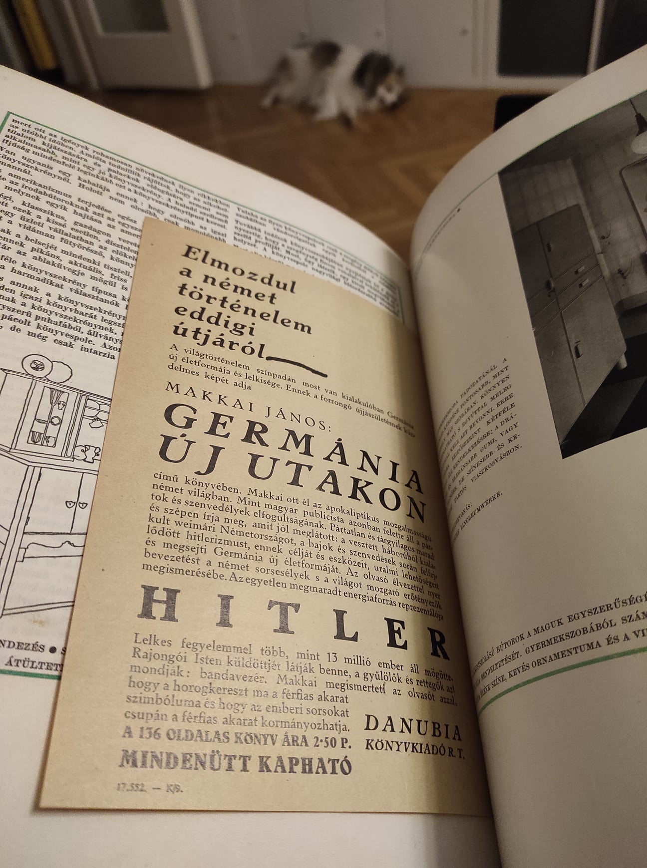 Egy fiatal magyar újságíró könyve megjósolta Hitler hatalomra jutását