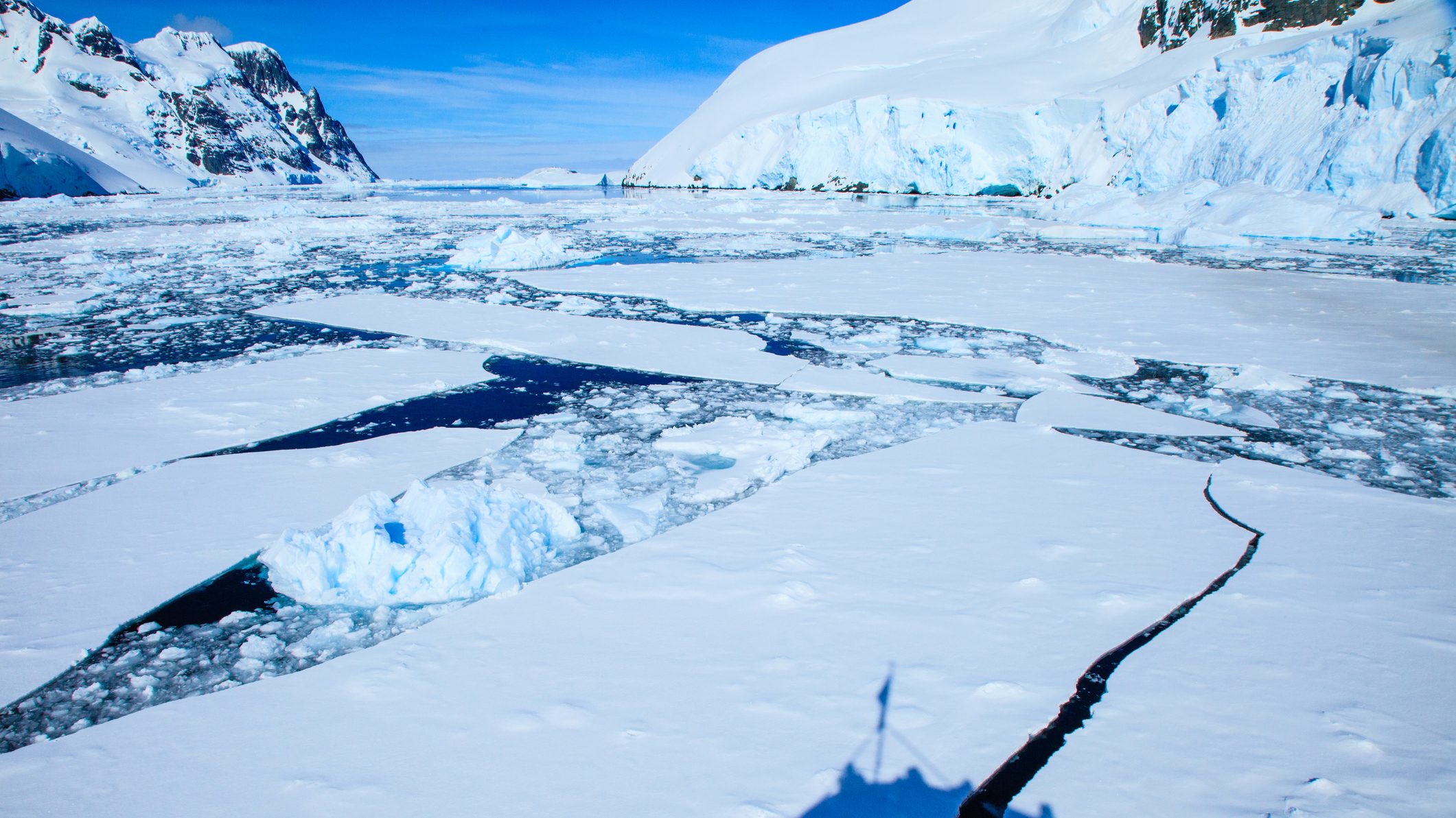 Életre bukkantak az Antarktisz jege alatt