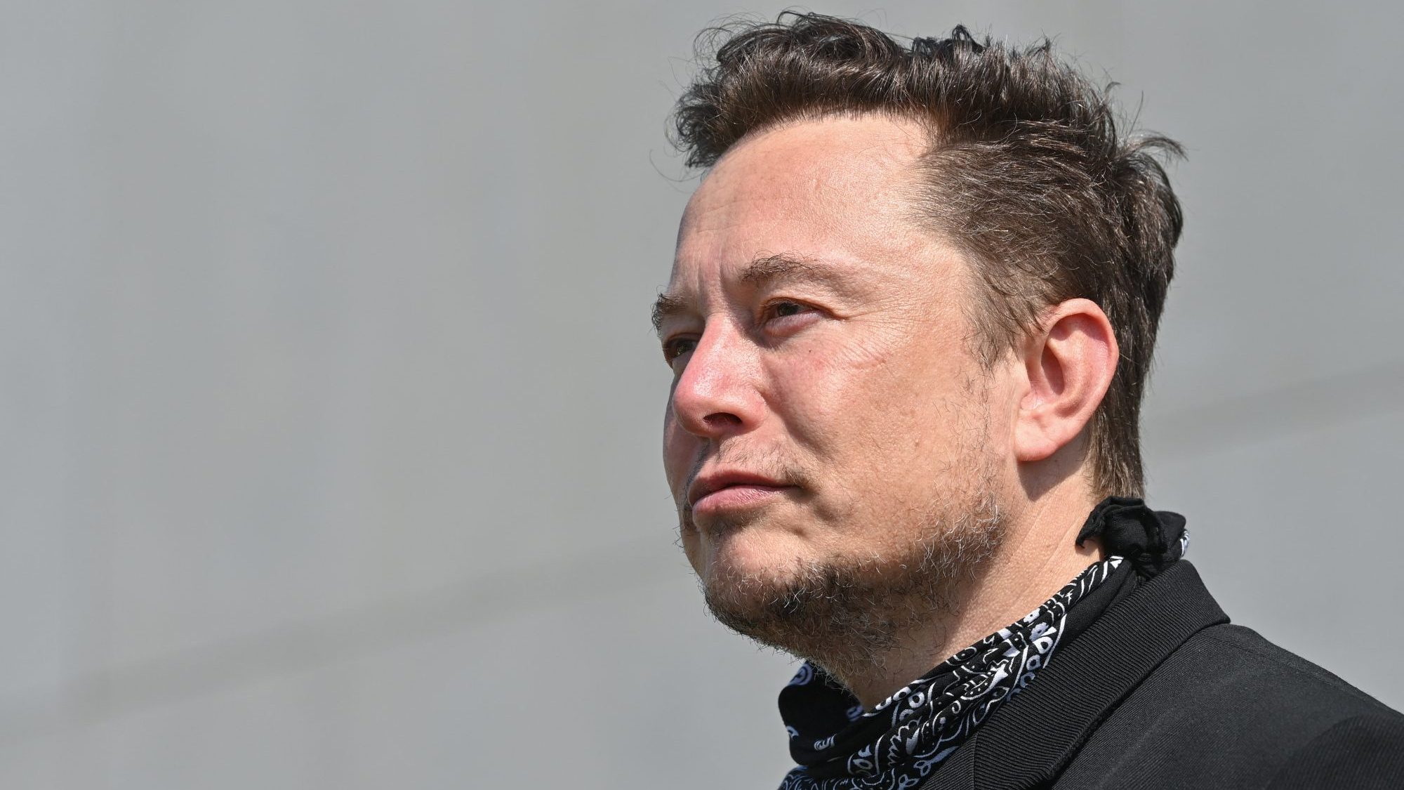 Állatkínzással vádolják Elon Musk cégét