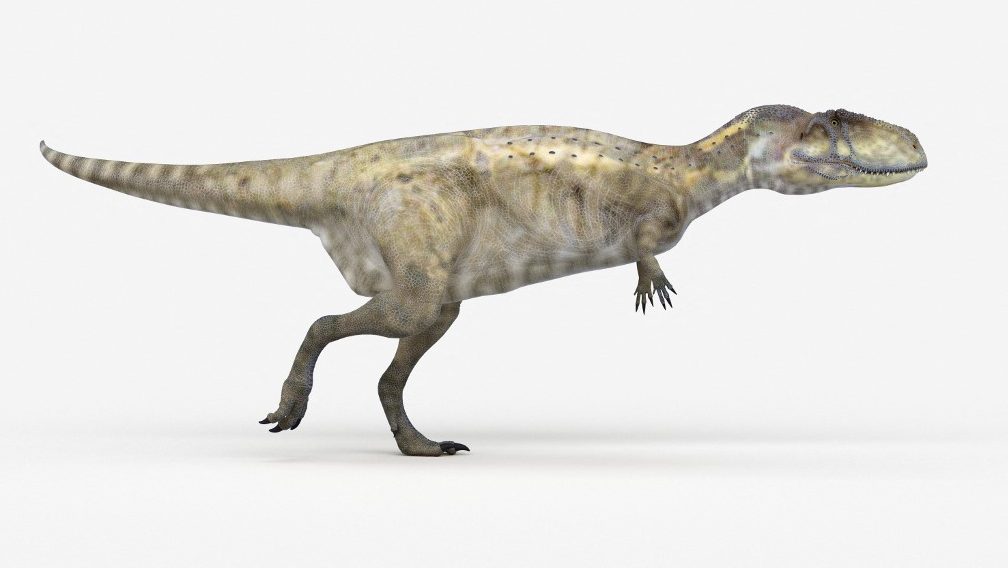 Szinte kar nélküli dinoszauruszfajt fedeztek fel