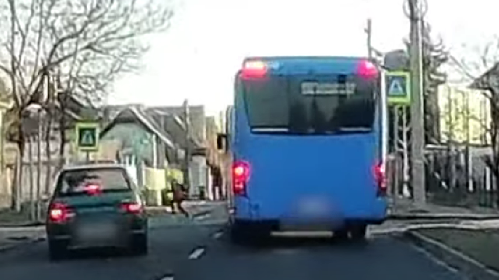 Videón, ahogy autó elé hajt egy budapesti buszsofőr, hogy megvédje a zebrán átszaladó kislányt