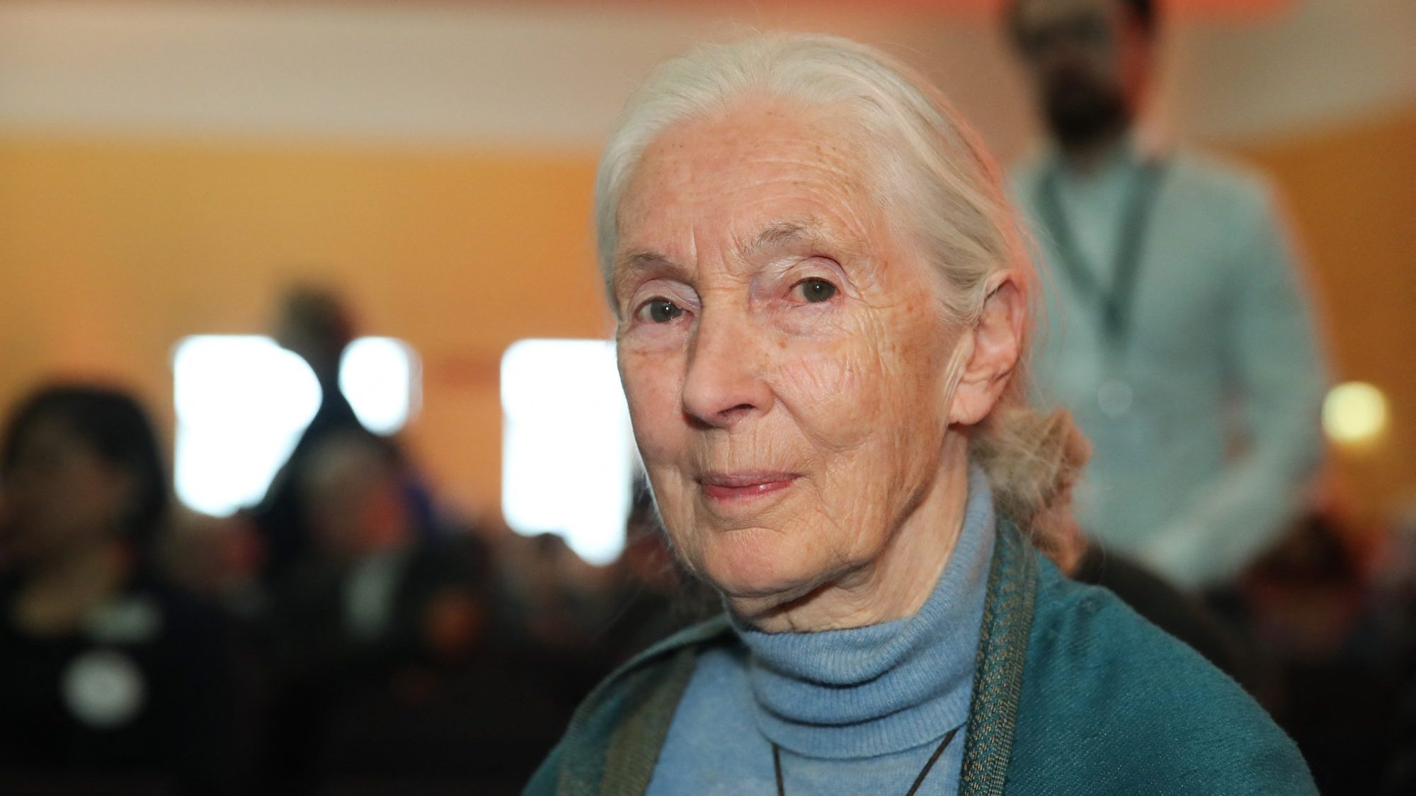 Jane Goodall is kiáll Ukrajna mellett