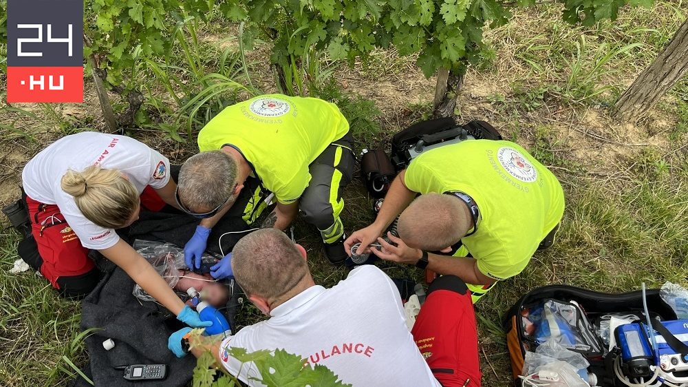 Horvátország átadta a magyar rendőrségnek azt a nőt, aki a márfai szőlőhegyen magára hagyta újszülött gyermekét
