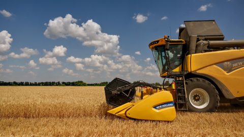 Dmytro Smoliyenko / NurPhoto / NurPhoto via AFP