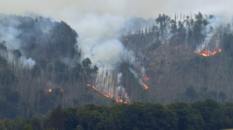 Erdõtûz Csehországban