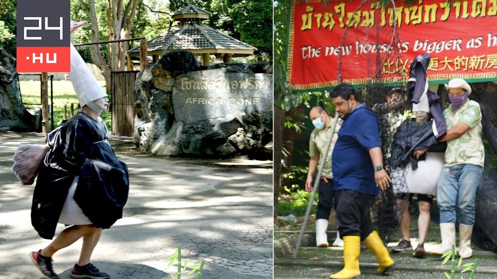 Egy struccjelmezes férfi segítségével játszották el, mit kell tenni szökés esetén egy thaiföldi állatkertben