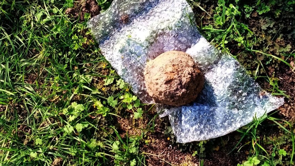 Ágyúgolyót találtak egy Kőszegi ház udvarán