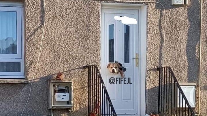 Szürreális látvány fogadta egy skóciai falu járókelőit