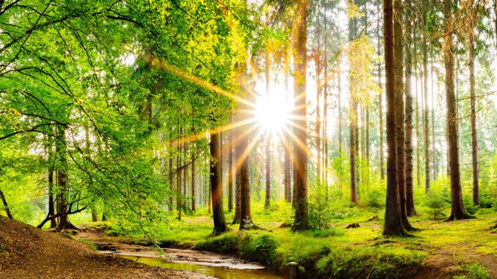 „A jövő útján” – A Lidl továbbra is elkötelezett a fenntarthatóság mellett