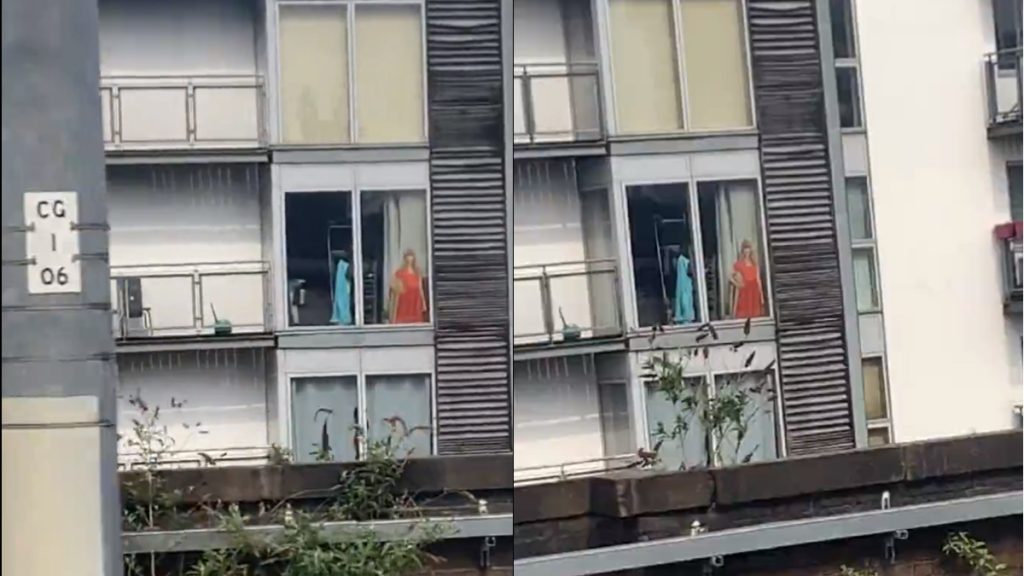 Emberek százai fogadták meg, hogy megmentenek egy kartonlapot