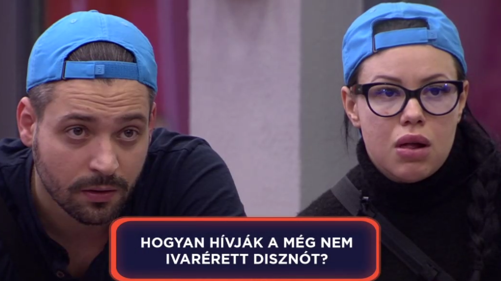 ValóVilág: Kvízkérdésekre válaszoltak a villalakók, több-kevesebb sikerrel